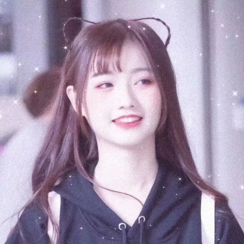 鲅鱼恋上猫