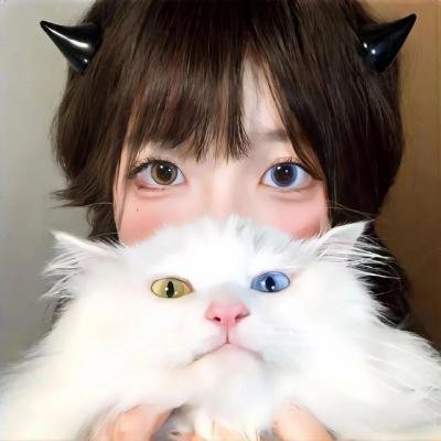 学校风云